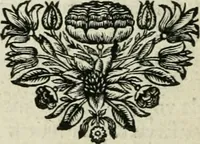 Picture 49 of 141 from Description de l'univers (1683), leaf 135