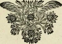 Picture 69 of 141 from Description de l'univers (1683), leaf 176