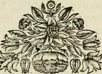Picture 76 of 141 from Description de l'univers (1683), leaf 194