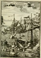 Picture 114 of 141 from Description de l'univers (1683), leaf 278