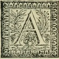Picture 125 of 141 from Description de l'univers (1683), leaf 300
