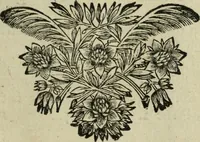 Picture 59 of 157 from Description de l'univers (1683), leaf 134