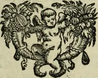 Picture 66 of 157 from Description de l'univers (1683), leaf 148