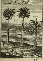 Picture 68 of 157 from Description de l'univers (1683), leaf 152