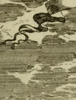 Picture 112 of 157 from Description de l'univers (1683), leaf 238