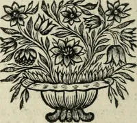 An illustration from Description de l'univers (1683)
