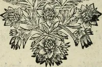 An illustration from Description de l'univers (1683)