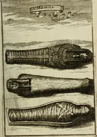 Picture 46 of 141 from Description de l'univers (1683), leaf 100