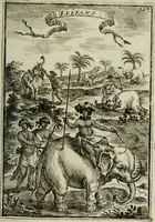 Picture 72 of 141 from Description de l'univers (1683), leaf 152