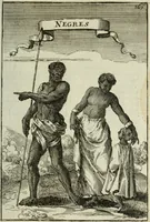 Picture 94 of 141 from Description de l'univers (1683), leaf 196