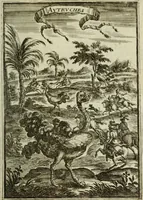 Picture 101 of 141 from Description de l'univers (1683), leaf 210