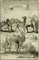 Picture 130 of 141 from Description de l'univers (1683), leaf 256