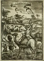 Picture 131 of 141 from Description de l'univers (1683), leaf 258