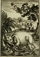 Picture 140 of 141 from Description de l'univers (1683), leaf 284