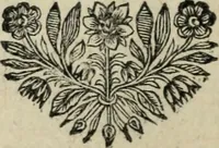 Picture 28 of 141 from Description de l'univers (1683), leaf 61