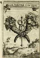 An illustration from Description des feux d'artifices faits a l'honneur du roy a Lille : par vn nouveau témoignage du zele de messieurs du Magistrat, ensuite de la venuë de Sa Majesté en cette ville, & de la rejouissance publique de la paix, l'an 1680 (1680)