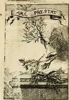 Picture 17 of 19 from Description des feux d'artifices faits a l'honneur du roy a Lille : par vn nouveau témoignage du zele de messieurs du Magistrat, ensuite de la venuë de Sa Majesté en cette ville, & de la rejouissance publique de la paix, l'an 1680 (1680), leaf 28