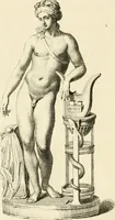 An illustration from A description of the antiquities and curiosities in Wilton-House : illustrated with twenty-five engravings of some of the capital statues, bustos, and relievos : in this work are introduced the anecdotes and remarks of Thomas Earl of Pembroke, who collected these antiques, now first published from his Lordship's mss (1786)