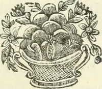 An illustration from A description of the antiquities and curiosities in Wilton-House : illustrated with twenty-five engravings of some of the capital statues, bustos, and relievos : in this work are introduced the anecdotes and remarks of Thomas Earl of Pembroke, who collected these antiques, now first published from his Lordship's mss (1786)