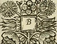 An illustration from A description of the island of Jamaica; with the other isles and territories in America, to which the English are related, viz. Barbadoes, St. Christophers, Nievis or Mevis, Antego, St. Vincent, Dominica, Montserrat, Anguilla, Barbada, Bermudes, Carolina, Virginia, Maryland, New-York, New England, New-Foundland (1672)