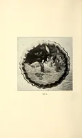 Picture 4 of 17 from Descriptive catalogue of an important keramic collection of Japanese and Chinese pottery, porcelain, bronzes, lacquers, brocade, prints, embroideries, kakemono, screens, ethnological and buddhist objects selected by Mr. Bunkio Matsuki of Kobe, Japan, and Boston (1898), leaf 32