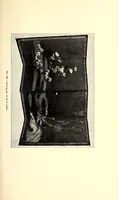 An illustration from Descriptive catalogue of an important keramic collection of Japanese and Chinese pottery, porcelain, bronzes, lacquers, brocade, prints, embroideries, kakemono, screens, ethnological and buddhist objects selected by Mr. Bunkio Matsuki of Kobe, Japan, and Boston (1898)