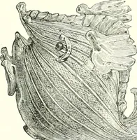 An illustration from A descriptive catalogue of the glass vessels in the South Kensington museum (1878)