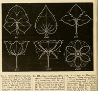 Picture 27 of 28 from Descriptive catalogue and price list. (1887), leaf 176