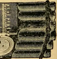 Picture 73 of 309 from Descriptive catalogue of artists' materials, draughting papers, tracing cloth, and mathematical instruments. (1898), leaf 118