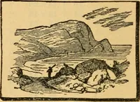 Picture 32 of 309 from Descriptive catalogue of artists' materials, draughting papers, tracing cloth, and mathematical instruments. (1898), leaf 60