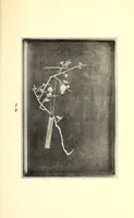 An illustration from Descriptive catalogue of an important collection of Japanese and Chinese pottery, porcelain, bronzes, brocades, prints, embroideries, kakemono, screens, ivories and gold lacquers selected by Mr. Bunkio Matsuki of Kobe, Japan, and Boston (1898)