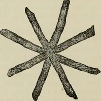 An illustration from A descriptive catalogue of the maiolica, Hispano-Moresco, Persian, Damascus, and Rhodian wares in the South Kensington Museum : with historical notes, marks, & monograms (1873)