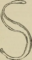 An illustration from A descriptive catalogue of the maiolica, Hispano-Moresco, Persian, Damascus, and Rhodian wares in the South Kensington Museum : with historical notes, marks, & monograms (1873)