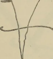 An illustration from A descriptive catalogue of the maiolica, Hispano-Moresco, Persian, Damascus, and Rhodian wares in the South Kensington Museum : with historical notes, marks, & monograms (1873)