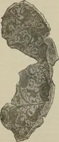 An illustration from A descriptive catalogue of the maiolica, Hispano-Moresco, Persian, Damascus, and Rhodian wares in the South Kensington Museum : with historical notes, marks, & monograms (1873)