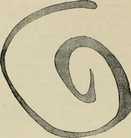 An illustration from A descriptive catalogue of the maiolica, Hispano-Moresco, Persian, Damascus, and Rhodian wares in the South Kensington Museum : with historical notes, marks, & monograms (1873)