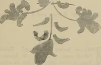 An illustration from A descriptive catalogue of the maiolica, Hispano-Moresco, Persian, Damascus, and Rhodian wares in the South Kensington Museum : with historical notes, marks, & monograms (1873)