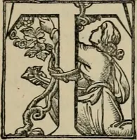 An illustration from A descriptive catalogue of the maiolica, Hispano-Moresco, Persian, Damascus, and Rhodian wares in the South Kensington Museum : with historical notes, marks, & monograms (1873)