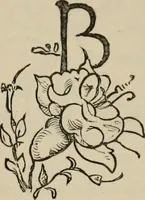 An illustration from A descriptive catalogue of the maiolica, Hispano-Moresco, Persian, Damascus, and Rhodian wares in the South Kensington Museum : with historical notes, marks, & monograms (1873)
