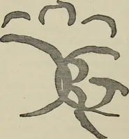 An illustration from A descriptive catalogue of the maiolica, Hispano-Moresco, Persian, Damascus, and Rhodian wares in the South Kensington Museum : with historical notes, marks, & monograms (1873)