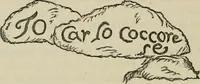 An illustration from A descriptive catalogue of the maiolica, Hispano-Moresco, Persian, Damascus, and Rhodian wares in the South Kensington Museum : with historical notes, marks, & monograms (1873)