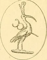 Picture 23 of 228 from A descriptive catalogue of a general collection of ancient and modern engraved gems, cameos as well as intaglios : taken from the most celebrated cabinets in Europe ; and cast in coloured pastes, white enamel, and sulphur (1791), leaf 396
