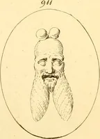 An illustration from A descriptive catalogue of a general collection of ancient and modern engraved gems, cameos as well as intaglios : taken from the most celebrated cabinets in Europe ; and cast in coloured pastes, white enamel, and sulphur (1791)