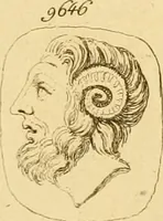 Picture 111 of 228 from A descriptive catalogue of a general collection of ancient and modern engraved gems, cameos as well as intaglios : taken from the most celebrated cabinets in Europe ; and cast in coloured pastes, white enamel, and sulphur (1791), leaf 432