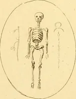 An illustration from A descriptive catalogue of a general collection of ancient and modern engraved gems, cameos as well as intaglios : taken from the most celebrated cabinets in Europe ; and cast in coloured pastes, white enamel, and sulphur (1791)