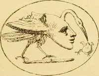 Picture 226 of 228 from A descriptive catalogue of a general collection of ancient and modern engraved gems, cameos as well as intaglios : taken from the most celebrated cabinets in Europe ; and cast in coloured pastes, white enamel, and sulphur (1791), leaf 496