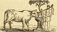 An illustration from A descriptive and historical account of hydraulic and other machines for raising water (1850)