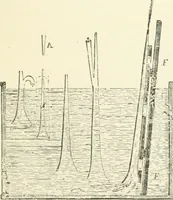 Picture 157 of 178 from A descriptive and historical account of hydraulic and other machines for raising water, ancient and modern : with observations on various subjects connected with the mechanic arts: including the progressive development of the steam engine (1876), leaf 515