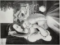 An illustration from A descriptive and illustrated catalogue of 150 paintings by old masters of the Dutch, Flemish, German, Italian, Spanish and French schools from the Kleinberger Galleries (1911)