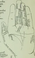 An illustration from Descriptive mentality from the head, face and hand (1899)